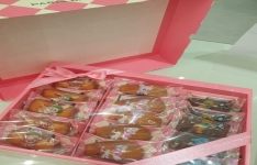 디지털치과 소식 썸네일