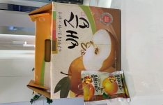 디지털치과 소식 썸네일