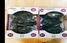 디지털치과 소식 썸네일